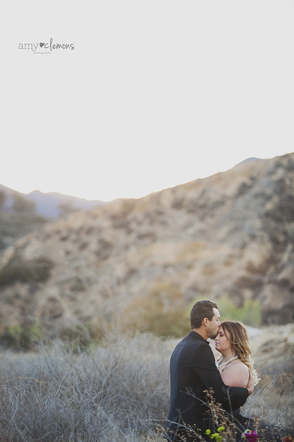 Orange County Engagement and Wedding Photographer | Amy Clemons Photography