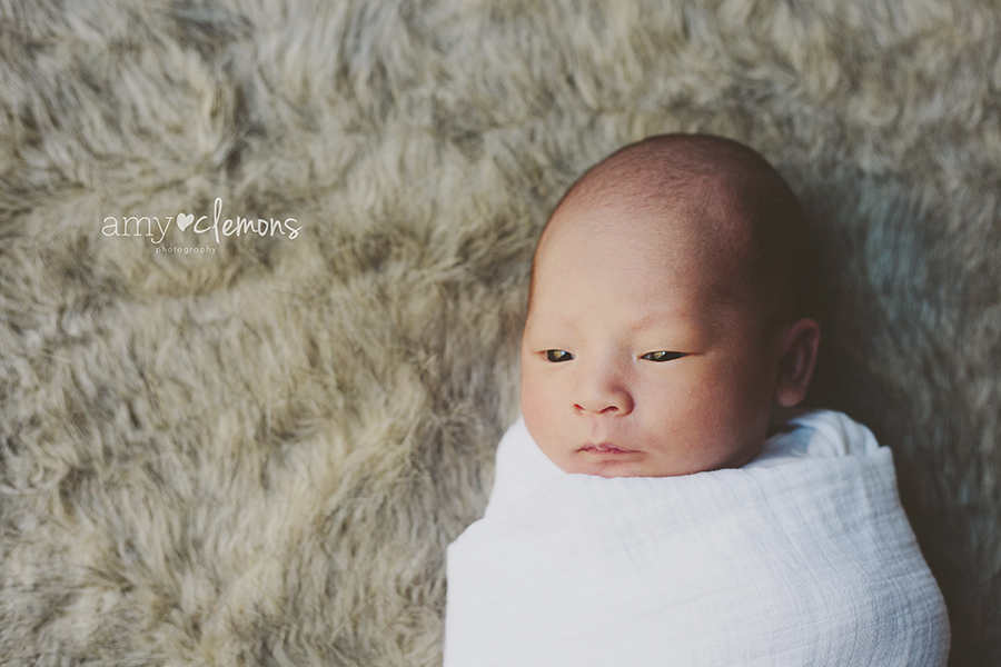 Orange County, CA Newborn & Family Photographer | Amy Clemons Photography
